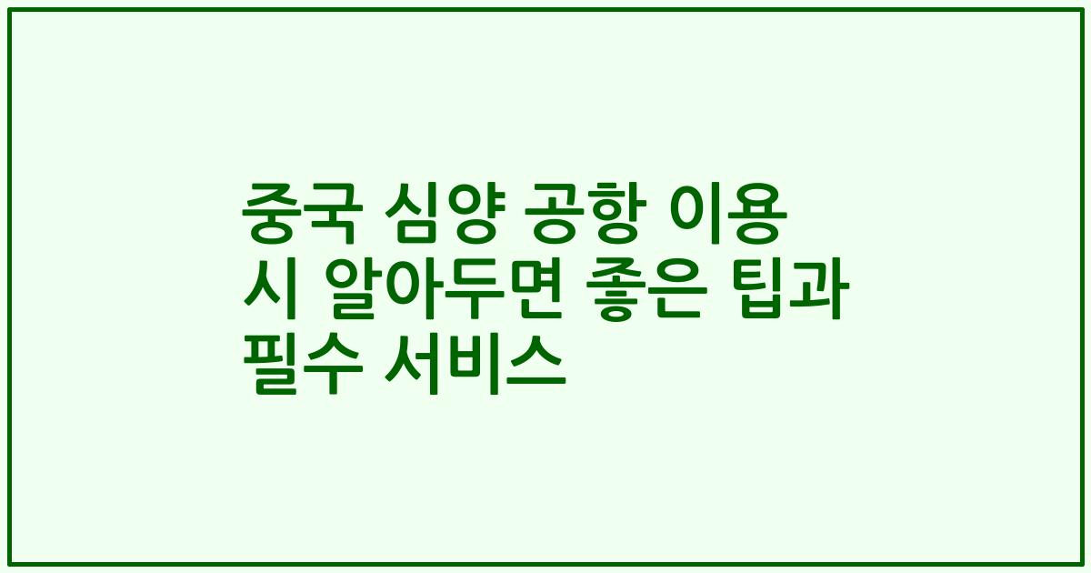 중국 심양 공항 이용 시 알아두면 좋은 팁과 필수 서비스